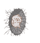 表情豊かなうさぎ usamusiのスタンプ21（個別スタンプ：28）