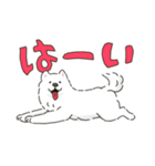 サモエドっぽいサモエドスタンプ2（個別スタンプ：1）