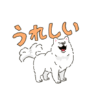 サモエドっぽいサモエドスタンプ2（個別スタンプ：5）