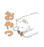 サモエドっぽいサモエドスタンプ2（個別スタンプ：12）