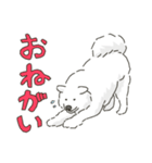 サモエドっぽいサモエドスタンプ2（個別スタンプ：14）