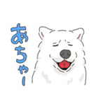 サモエドっぽいサモエドスタンプ2（個別スタンプ：18）