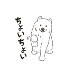 サモエドっぽいサモエドスタンプ2（個別スタンプ：22）