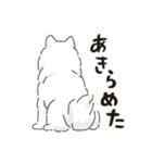 サモエドっぽいサモエドスタンプ2（個別スタンプ：27）