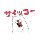サモエドっぽいサモエドスタンプ2（個別スタンプ：28）