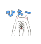 サモエドっぽいサモエドスタンプ2（個別スタンプ：34）
