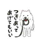 サモエドっぽいサモエドスタンプ2（個別スタンプ：35）