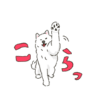 サモエドっぽいサモエドスタンプ2（個別スタンプ：37）