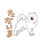 サモエドっぽいサモエドスタンプ2（個別スタンプ：39）