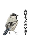 こてpaint art TAKE（個別スタンプ：1）