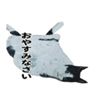 こてpaint art TAKE（個別スタンプ：3）