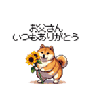 母の日 父の日 記念日の太っちょ柴犬（個別スタンプ：2）