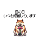 母の日 父の日 記念日の太っちょ柴犬（個別スタンプ：3）