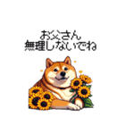 母の日 父の日 記念日の太っちょ柴犬（個別スタンプ：8）