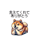 母の日 父の日 記念日の太っちょ柴犬（個別スタンプ：11）