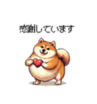 母の日 父の日 記念日の太っちょ柴犬（個別スタンプ：12）