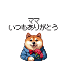 母の日 父の日 記念日の太っちょ柴犬（個別スタンプ：13）