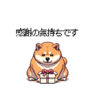 母の日 父の日 記念日の太っちょ柴犬（個別スタンプ：16）
