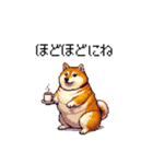 母の日 父の日 記念日の太っちょ柴犬（個別スタンプ：20）