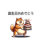 母の日 父の日 記念日の太っちょ柴犬（個別スタンプ：22）