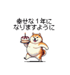 母の日 父の日 記念日の太っちょ柴犬（個別スタンプ：24）