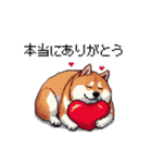 母の日 父の日 記念日の太っちょ柴犬（個別スタンプ：28）