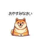 母の日 父の日 記念日の太っちょ柴犬（個別スタンプ：34）