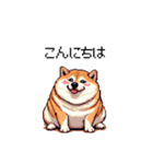 母の日 父の日 記念日の太っちょ柴犬（個別スタンプ：35）