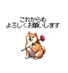母の日 父の日 記念日の太っちょ柴犬（個別スタンプ：39）