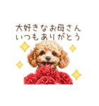 母の日・父の日☆動くトイプードル（個別スタンプ：8）