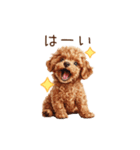 母の日・父の日☆動くトイプードル（個別スタンプ：17）