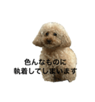 ももちゃんスタンプ 4弾（個別スタンプ：4）
