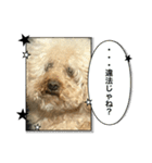 ももちゃんスタンプ 4弾（個別スタンプ：35）