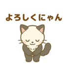 ぱにゃん01（個別スタンプ：14）