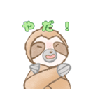 癒しのナマケモノスタンプ3（個別スタンプ：13）