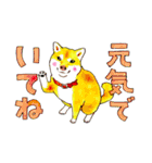 夜廻り猫 7（個別スタンプ：11）