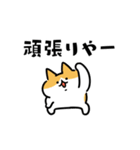 関西風のネコたち（個別スタンプ：18）