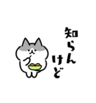 関西風のネコたち（個別スタンプ：23）