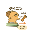 理創塾 モグたんと学ぶ高校生物1（個別スタンプ：2）