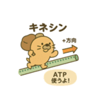 理創塾 モグたんと学ぶ高校生物1（個別スタンプ：3）