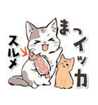 ダジャレ♡ゆるい手書きネコ（個別スタンプ：20）