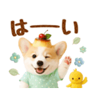ラフな敬語の癒しコーギー（個別スタンプ：3）