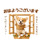 ラフな敬語の癒しコーギー（個別スタンプ：5）