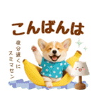 ラフな敬語の癒しコーギー（個別スタンプ：8）