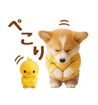 ラフな敬語の癒しコーギー（個別スタンプ：11）