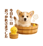 ラフな敬語の癒しコーギー（個別スタンプ：17）