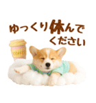 ラフな敬語の癒しコーギー（個別スタンプ：18）