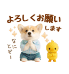 ラフな敬語の癒しコーギー（個別スタンプ：19）
