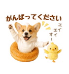 ラフな敬語の癒しコーギー（個別スタンプ：23）