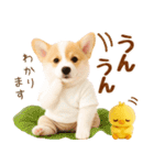 ラフな敬語の癒しコーギー（個別スタンプ：26）